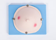 Donne mammarie/CE ginecologico/SGS del simulatore dell'esame ascesso del seno