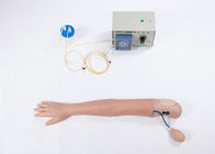 Modello formativo umano simulato PVC avanzato del braccio di emodialisi