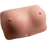 Simulatore ginecologico dell'esame portabile del seno del PVC