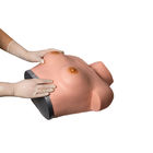 Simulatore ginecologico del seno di palpazione di ispezione per addestramento