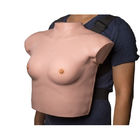 Modello portabile dell'esame del seno con la sensibilità realistica di tocco