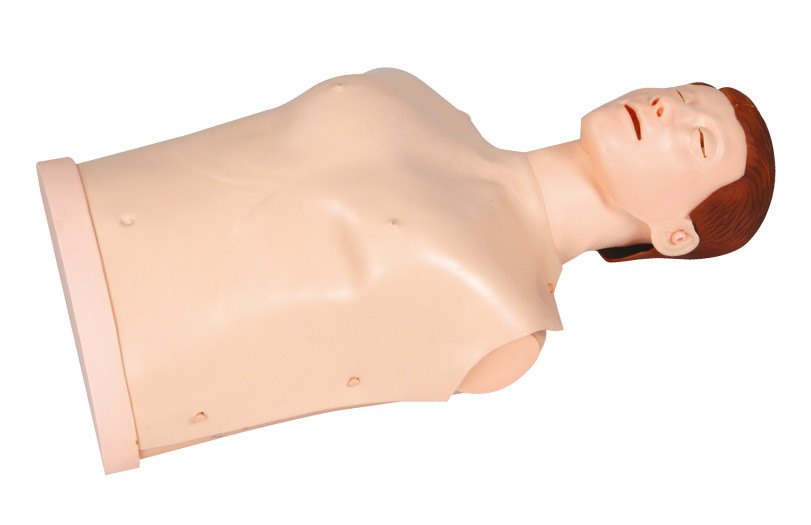 Tipo semplice manichini con le punte del segnale acustico, mezzi manichini del pronto soccorso di addestramento di CPR del corpo