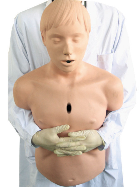 Mezzo manichino di rianimazione del modello/CPR della via aerea del corpo per il pronto soccorso dell'adulto di Heidegger
