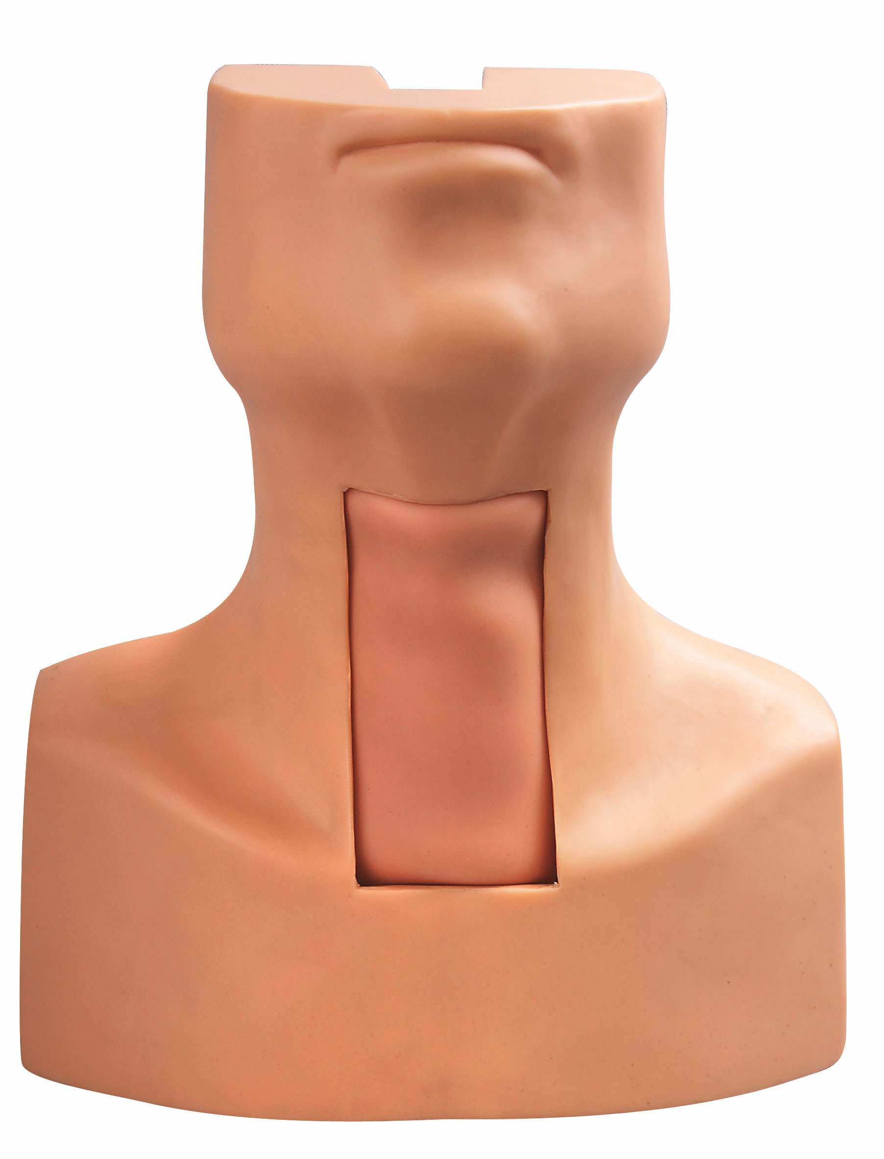 Modello di intubazione di puntura della tracheotomia con la pelle simulata del collo e della trachea per prepararsi