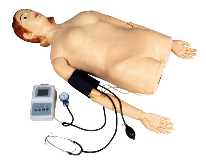 Mezzo simulatore femminile di palpazione del corpo con la misura di pressione sanguigna per la scuola, ospedale