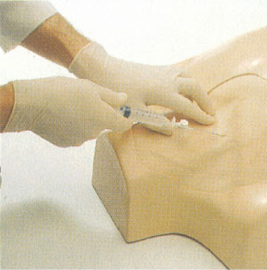 IV simulazione clinica giugulare, addestramento del torso di puntura della vena succlavia e femorale per il collega