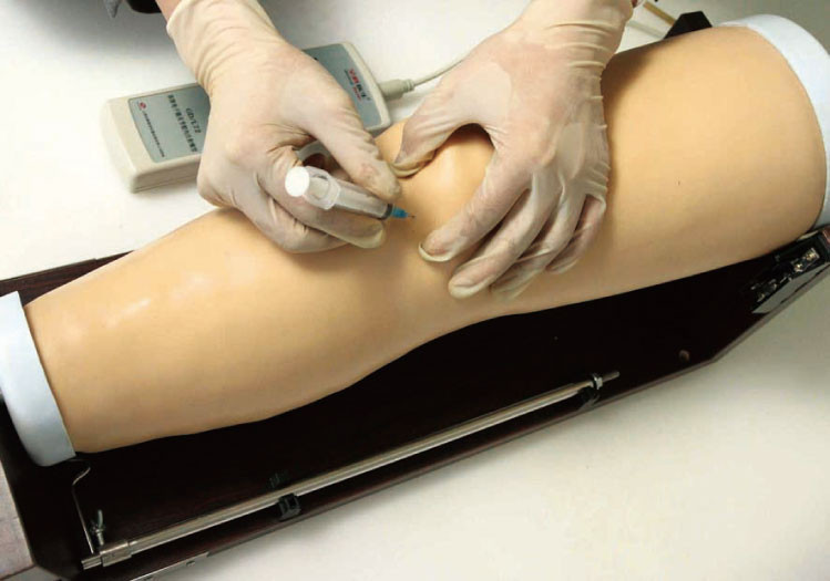 Simulatore endocavitario elettronico dell'iniezione del giunto di ginocchio, modelli medici