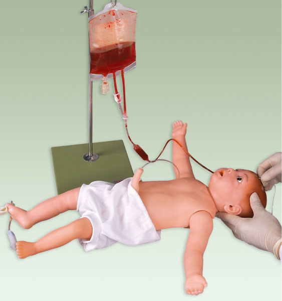 Modello di simulazione dell'iniezione pediatrica del manichino/bambino con le navi e la pelle del sangue venoso