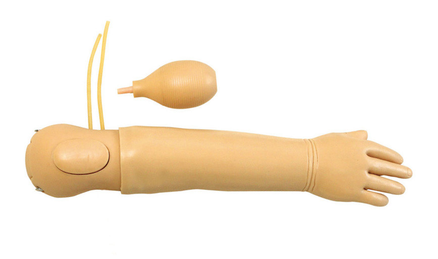 Simulatore del braccio del bambino con l'indicatore Osteal ovvio dell'identificazione per addestramento arterioso dell'iniezione