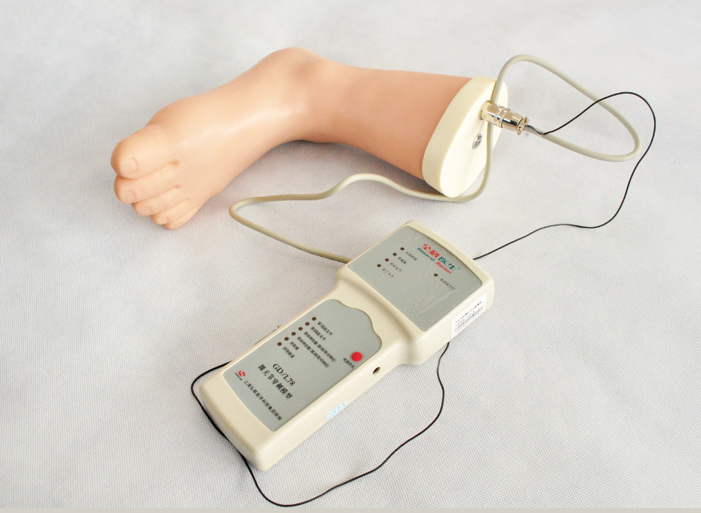 Strumento clinico di addestramento di simulazione dell'iniezione della caviglia del piede della struttura anatomica