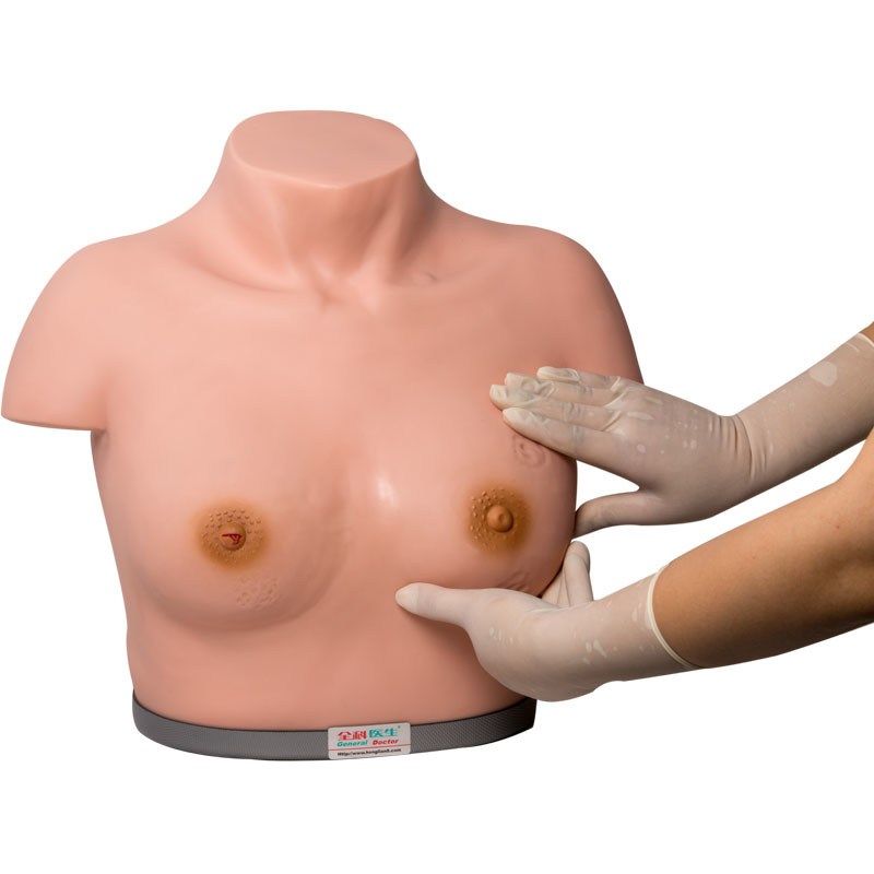 Palpazione di ispezione del simulatore dell'esame del seno del PVC