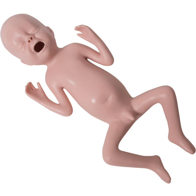 Manichino pediatrico di simulazione del bambino prematuro con la palpazione