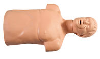 Manichini del pronto soccorso del corpo del PVC di protezione dell'ambiente mezzi per la pratica di operazione di CPR