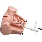 Simulatore di nascita del bambino di addestramento del PVC dello SGS con cordone ombelicale