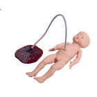 Simulatore di nascita del bambino di addestramento del PVC dello SGS con cordone ombelicale