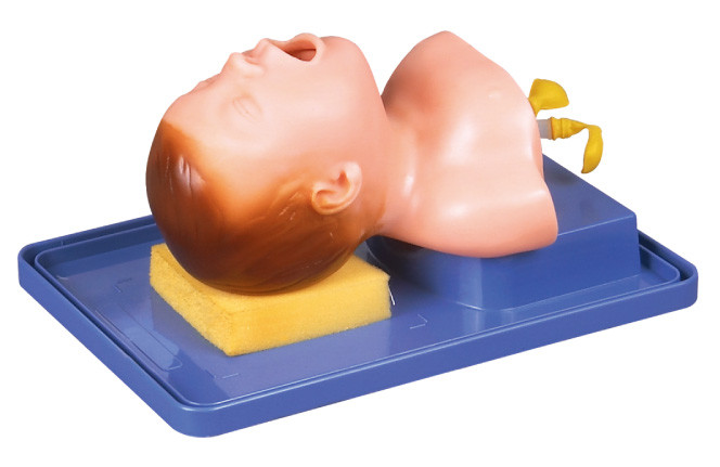 Neonato realistico con anatomia capa per addestramento tracheale di intubazione