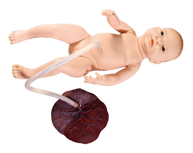 Piccolo neonato femminile con simulazione di professione d'infermiera del cordone ombelicale che prepara modello fetale