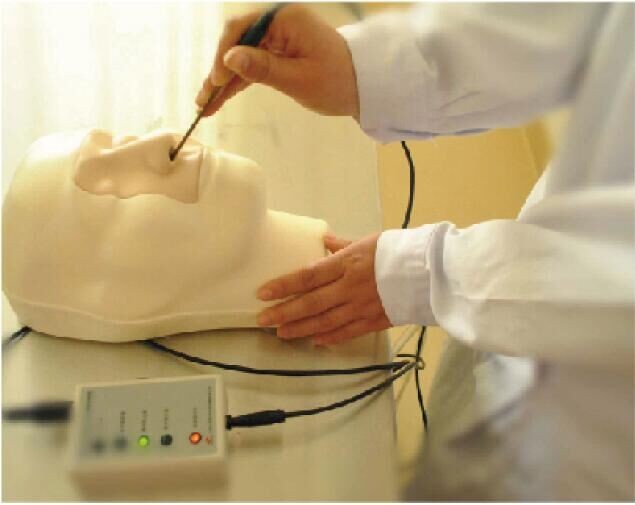 Istituto universitario, ospedale che impara il modello formativo nasale di emorragia di simulazioni