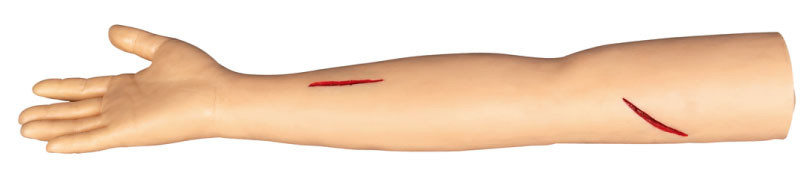 Suturi i modelli formativi chirurgici del braccio per il taglio e la suturazione nel colleage, ospedale