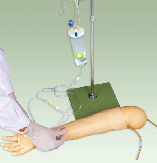 Addestramento pediatrico avanzato di Veinpuncture di simulazione del manichino/braccio di simulazione