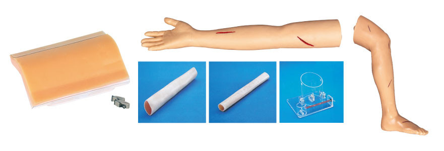 Modelli formativi chirurgici adulti del corredo della gamba e del braccio della sutura per istruzione dello studente