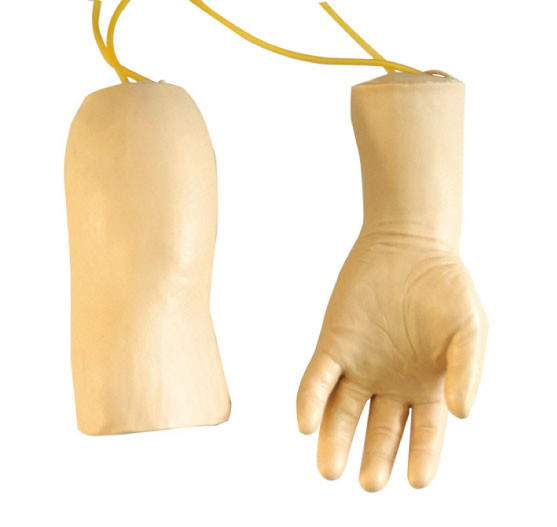 Il manichino della mano GD/HS42 e di professione d'infermiera del gomito arma il modello per addestramento della conduttura della trasfusione