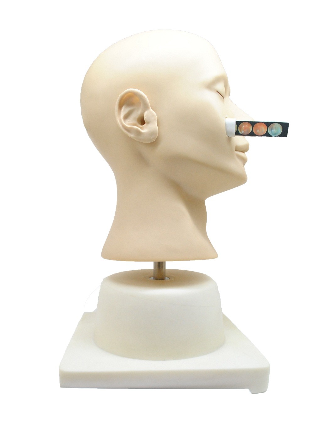 Bambola nasale di addestramento di emorragia di simulazione clinica avanzata per l'istituto universitario, ospedale