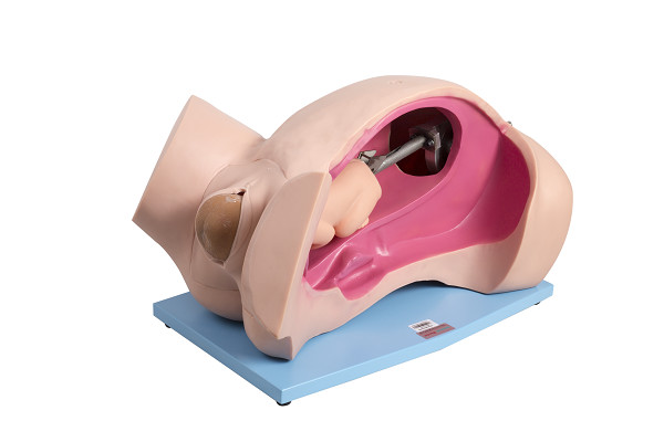 Sistema di parto di simulazione manuale di parto/simulazione automatici di emergenza