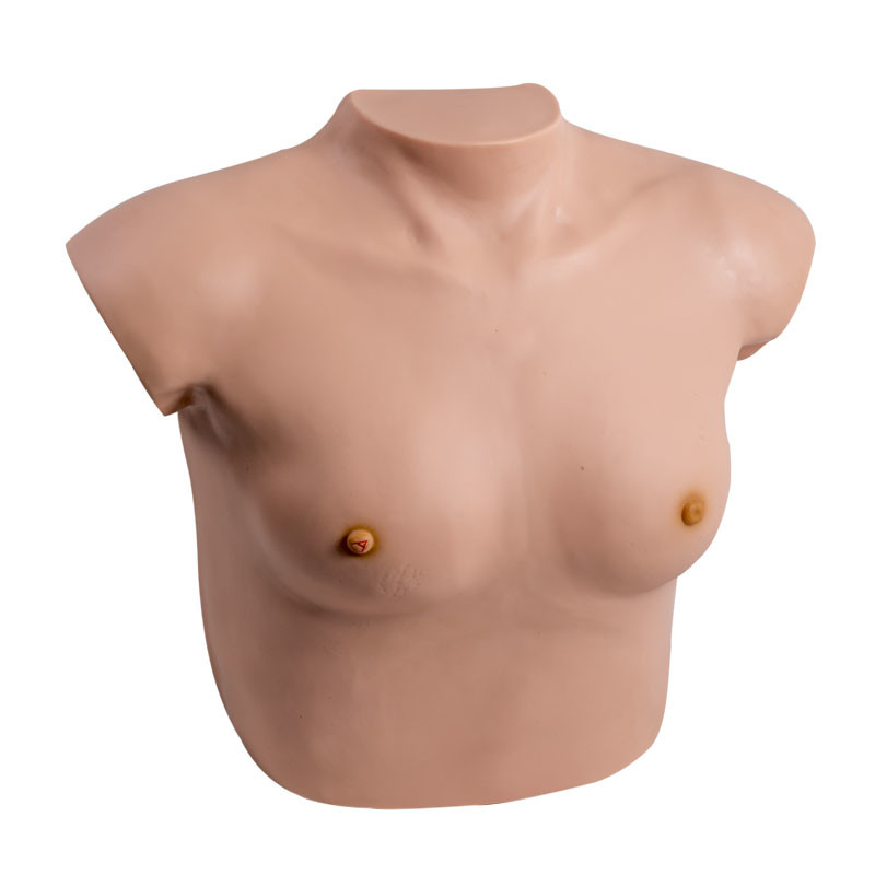 Esame di coscienza ginecologico del simulatore del seno femminile molle della pelle con il tumore