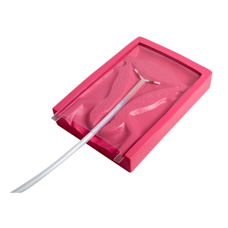 Simulatore ginecologico del PVC di inserzione medica di IUD per intrauterino