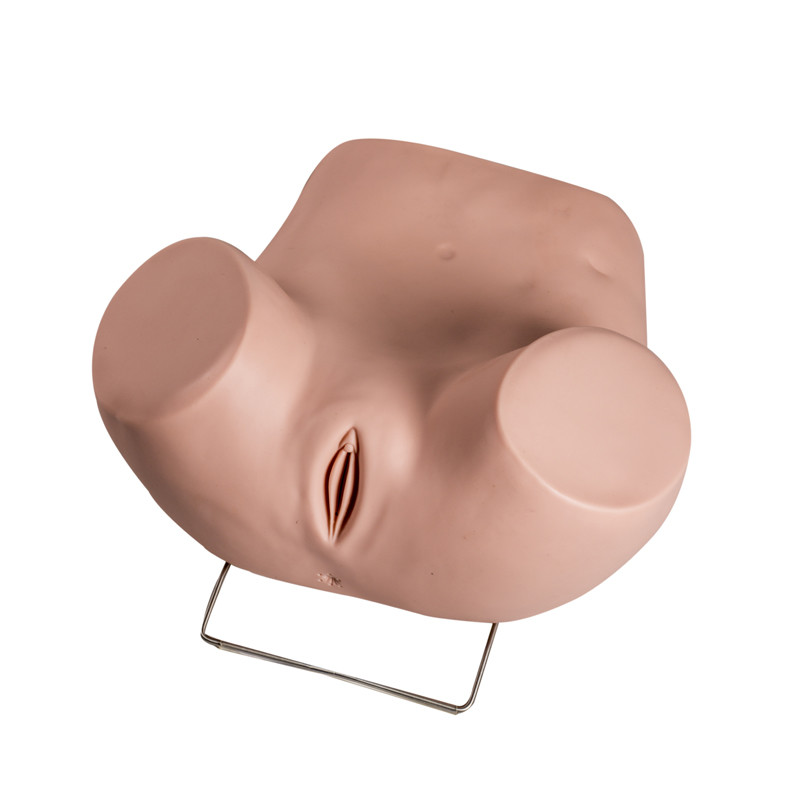 Modello ginecologico With Replacement Cervicals dell'esame del PVC