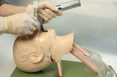Struttura anatomica realistica con la bocca dei bambini, faringe, Tracheafor per addestramento di intubazione