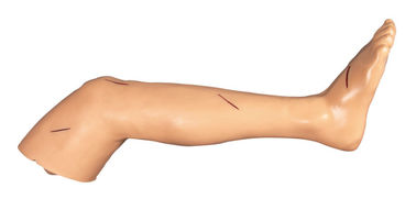 Suturi il taglio chirurgico di addestramento di abilità della gamba e la bambola di suturazione di addestramento