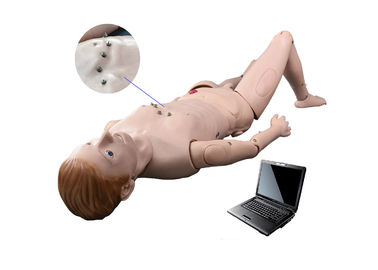Il manichino di simulazione/auscultazione dell'ospedale con ECG ha simulato il sistema di insegnamento